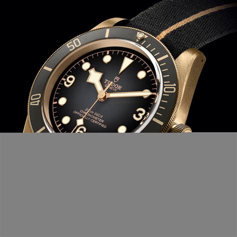 tudor black bay p01 chrono24|tudor black bay p01 price.